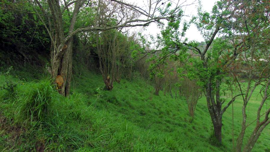 3_21_.jpg (900×506)