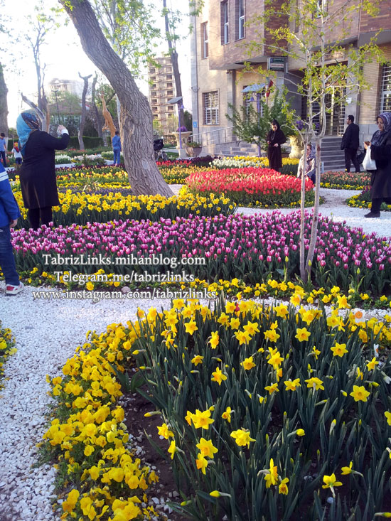 tabriz