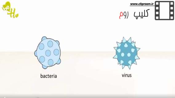 تفاوت میان باکتری و ویروس چیست؟