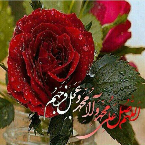 IMAGE(http://s6.picofile.com/file/8249187134/500x500_1452186892147242.jpg)