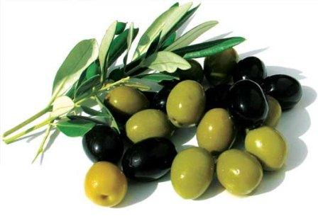 خواص معجزه آسای زیتون