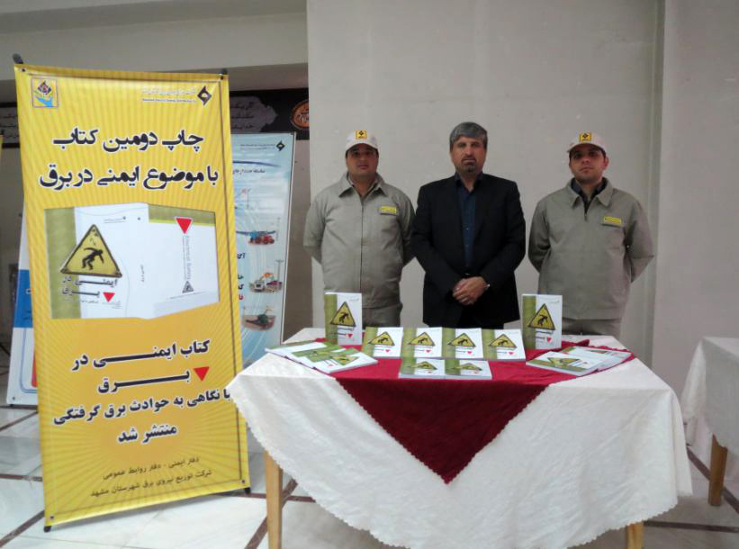 رضا نیک پیام, کتاب ایمنی برق , حوادث برق