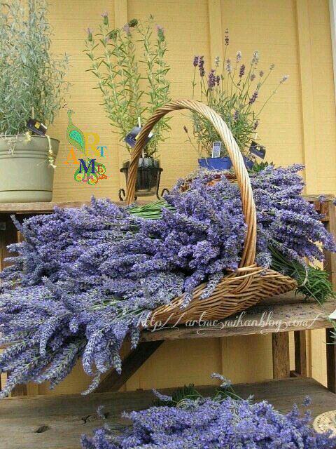 http://s6.picofile.com/file/8249526468/photo_2016_05_01_12_28_34.jpg