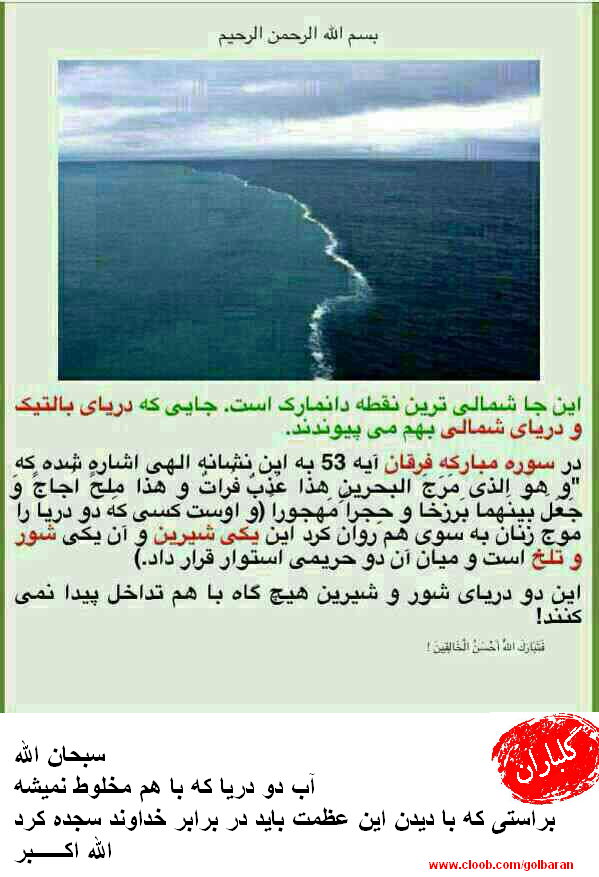 پاسخ به:پاورچین...پاورچین...