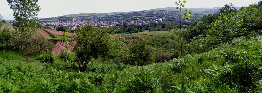 IMG_20160506_101919.jpg (1000×356)