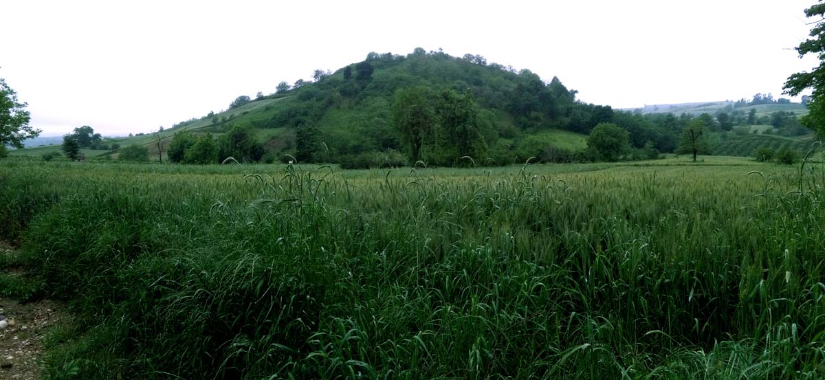 IMG_20160506_083409.jpg (1200×553)