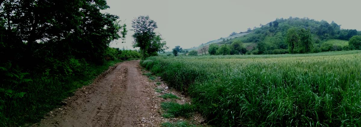 IMG_20160506_083539.jpg (1200×424)