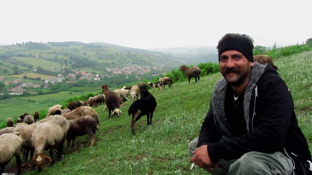 1_1_.JPG (1000×562)