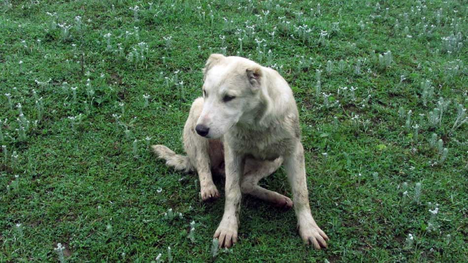 1_18_.JPG (950×534)