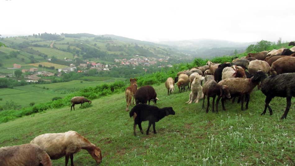 1_28_.JPG (950×534)