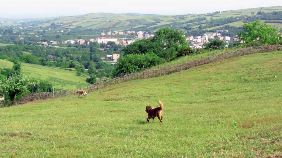 1_40_.JPG (950×534)