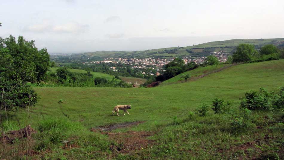 1_41_.JPG (950×534)