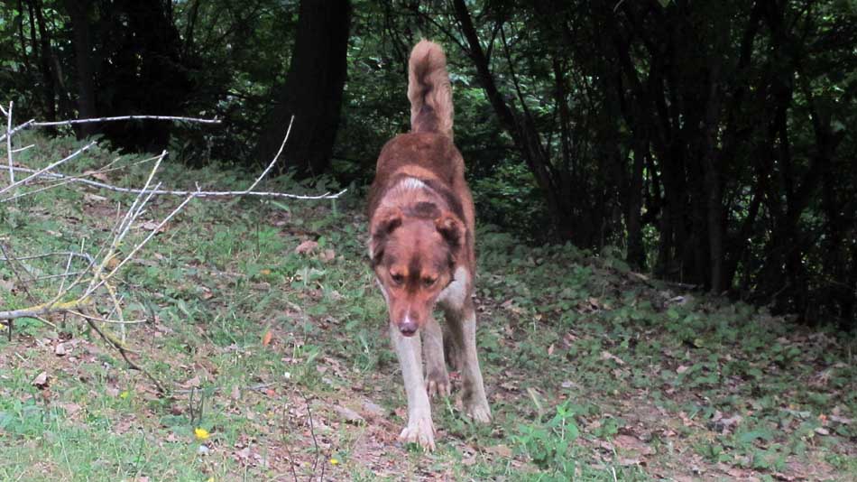 1_55_.JPG (950×534)