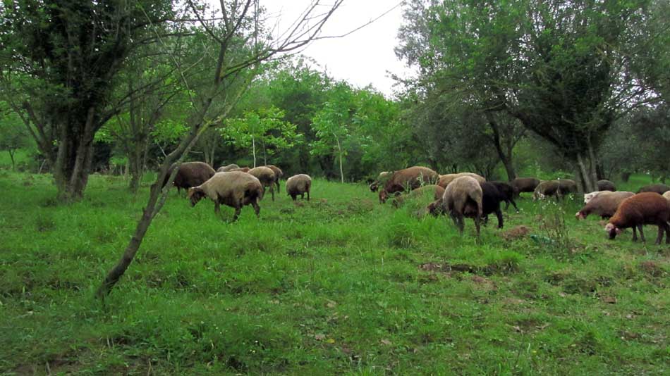 1_57_.JPG (950×534)