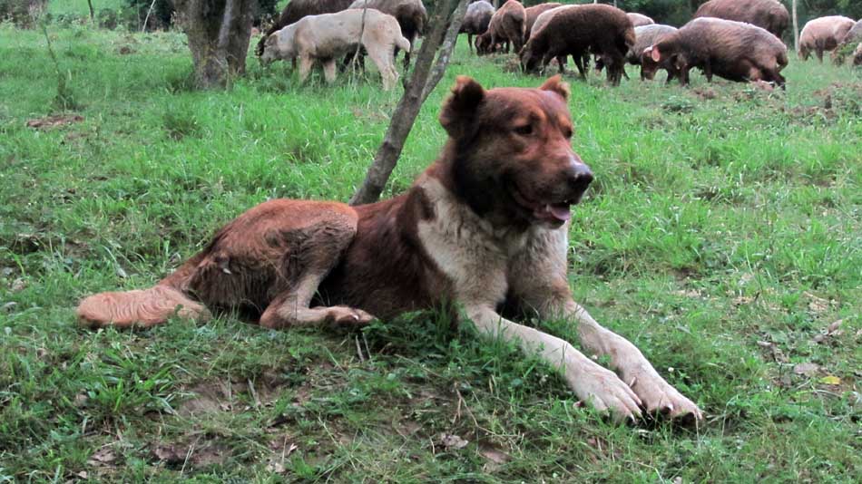 1_58_.JPG (950×534)