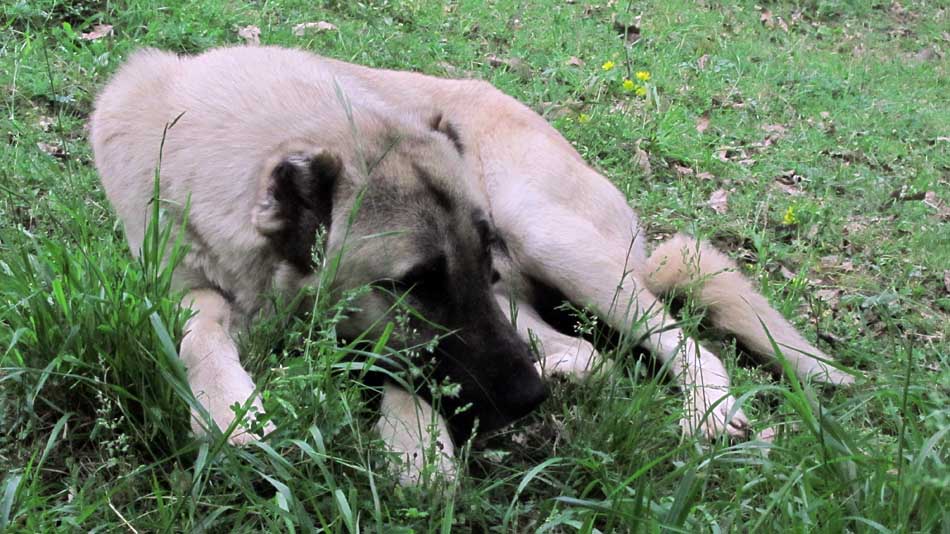 1_61_.JPG (950×534)