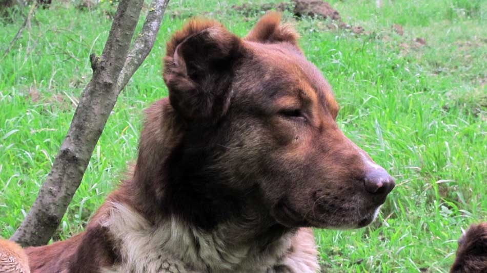 1_64_.JPG (950×534)