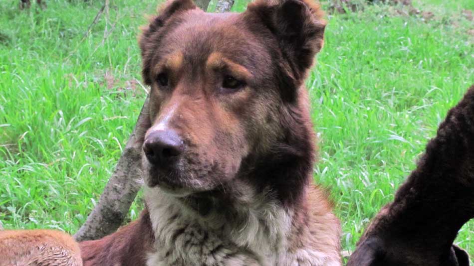 1_65_.JPG (950×534)