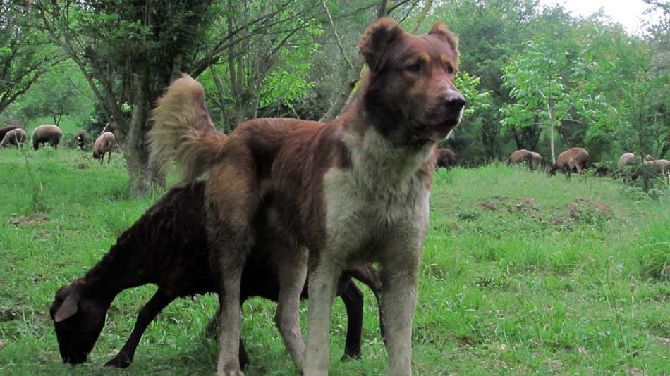 1_67_.JPG (950×534)