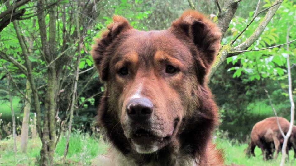 1_72_.JPG (950×534)