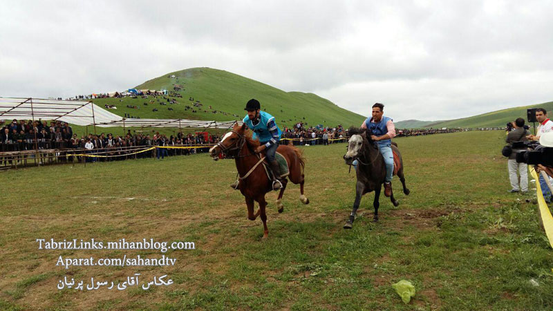 اسب