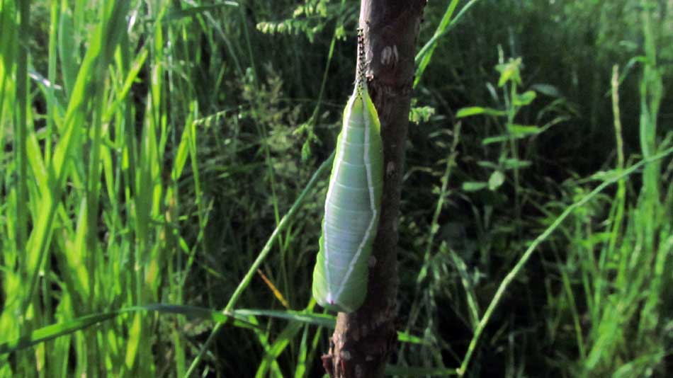 1_22_.JPG (950×534)