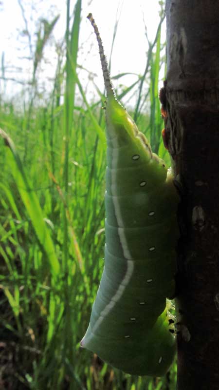 1_23_.JPG (450×800)