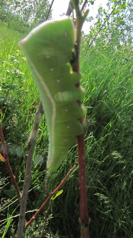 1_25_.JPG (450×800)