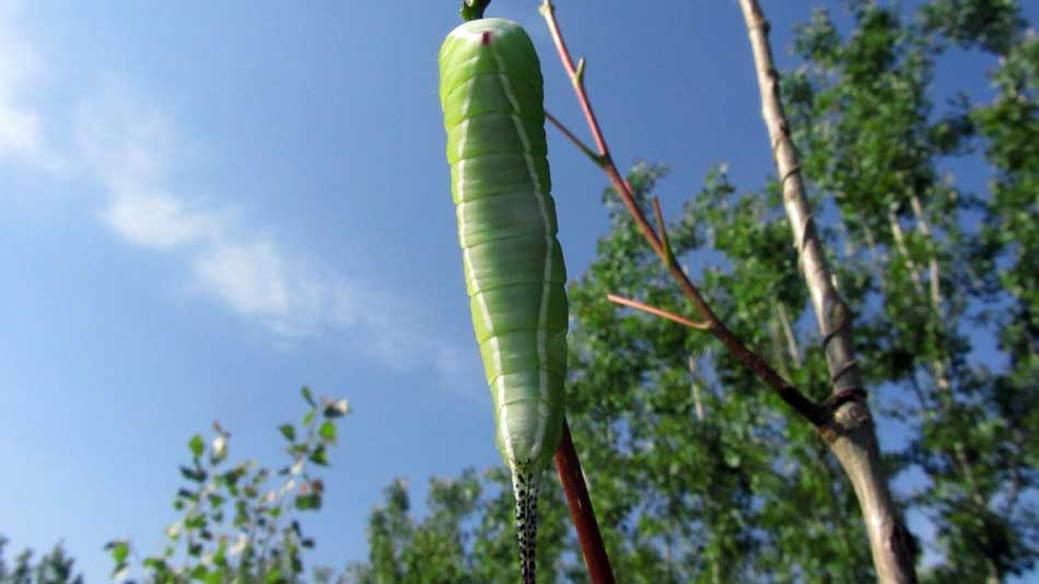 1_26_.JPG (950×534)