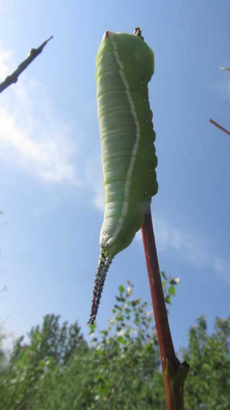 1_28_.JPG (450×800)