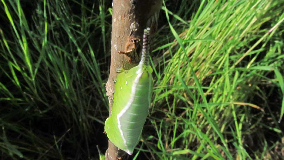 1_29_.JPG (950×534)