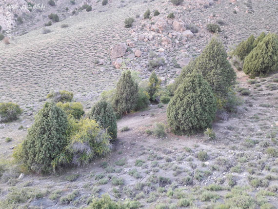 کوه بهار جلوه‌ای منحصربه‌فرد از هنرنمایی طبیعت / تصاویر