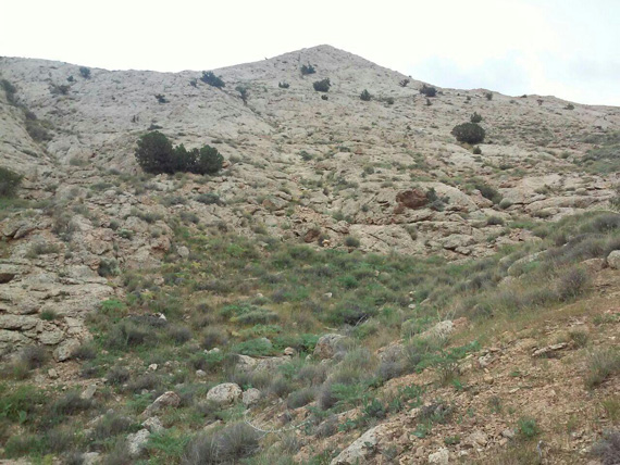 کوه بهار جلوه‌ای منحصربه‌فرد از هنرنمایی طبیعت / تصاویر