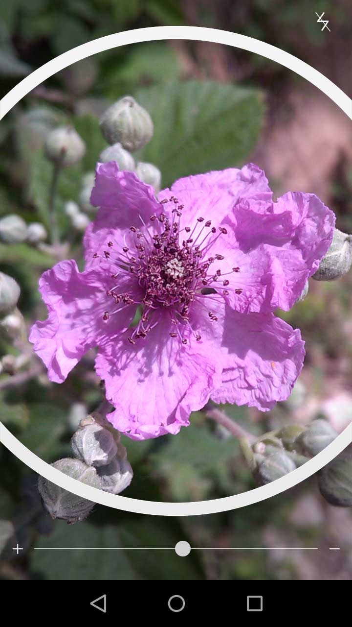 2_21_.jpg (720×1280)