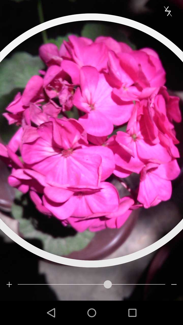 2_23_.jpg (720×1280)