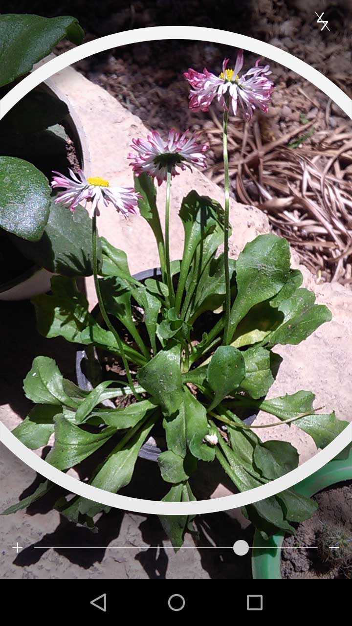 2_27_.jpg (720×1280)