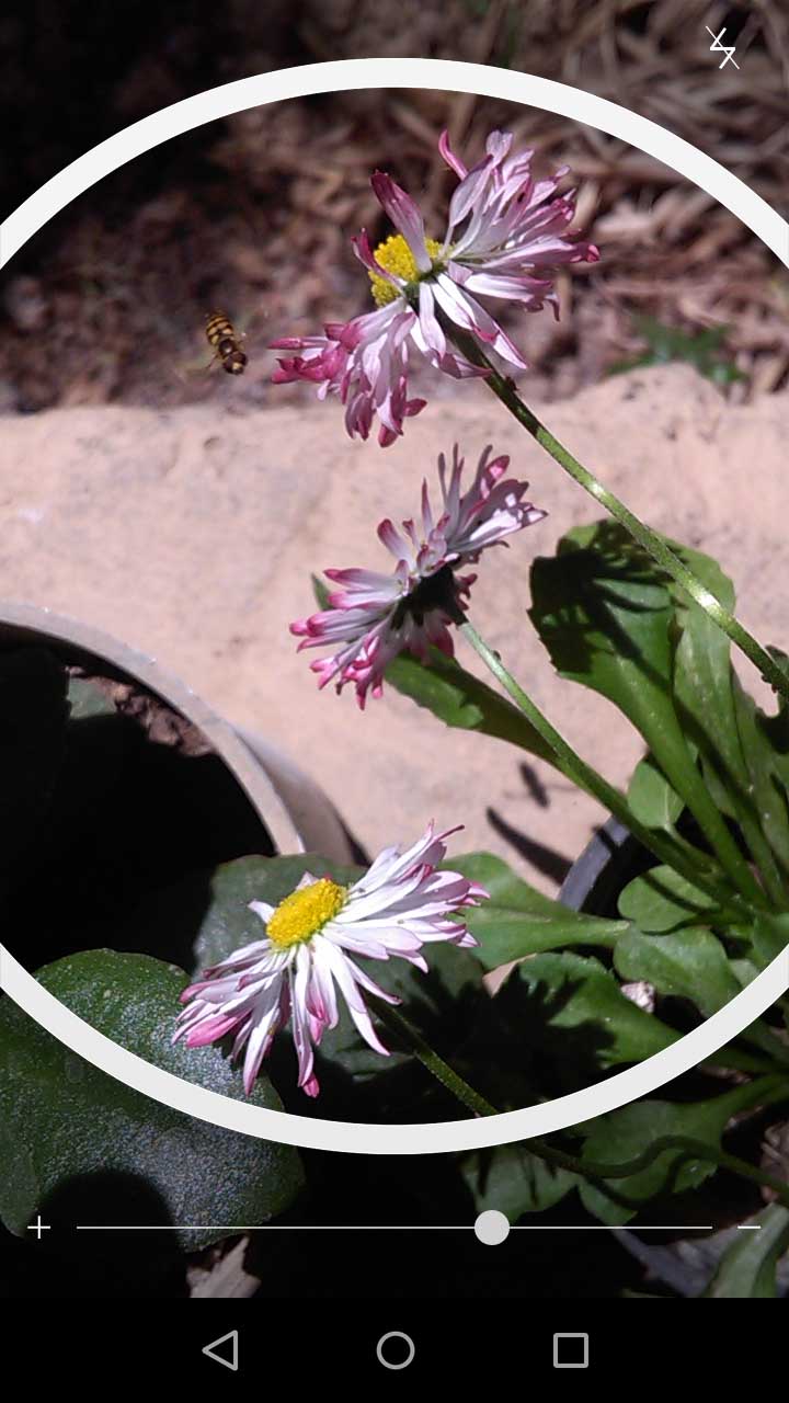 2_28_.jpg (720×1280)