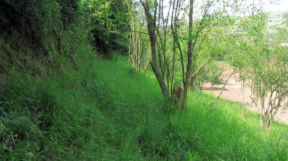 2_37_.jpg (950×534)