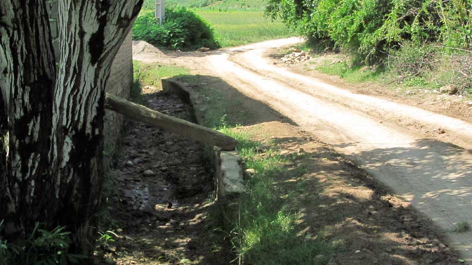 2_38_.jpg (950×534)