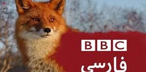 ویدئو تقدیر و تشکر BBC از فائزه هاشمی