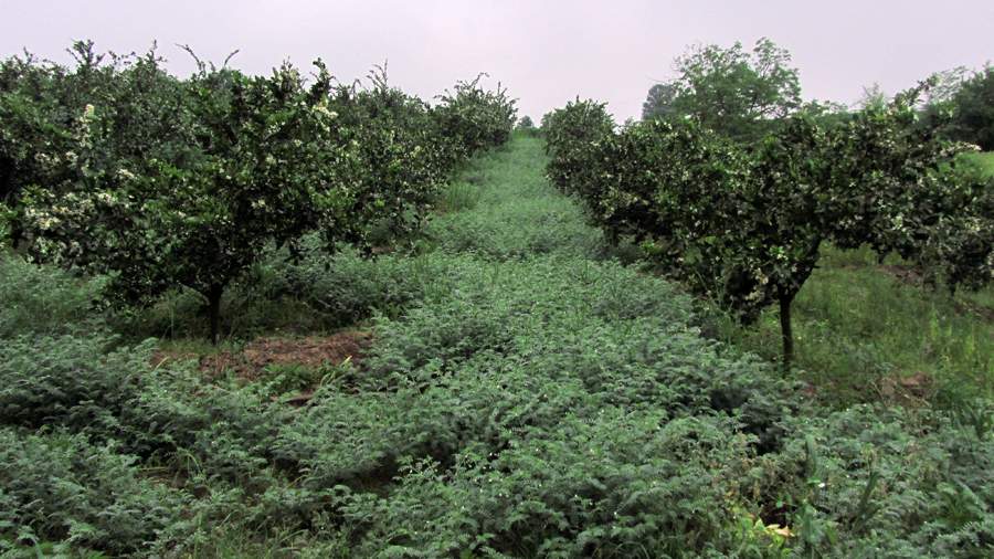 1_10_.jpg (900×506)