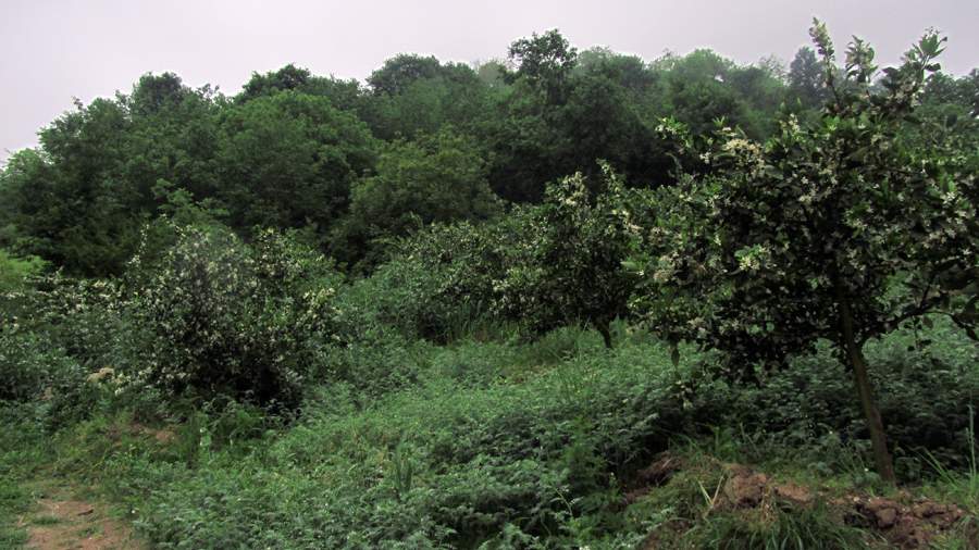 1_18_.jpg (900×506)