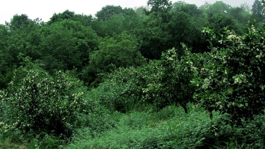 1_19_.jpg (900×506)