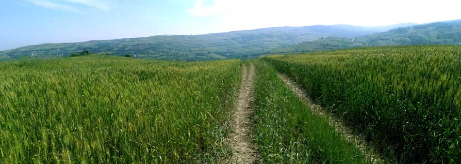 IMG_20160513_100327.jpg (950×339)