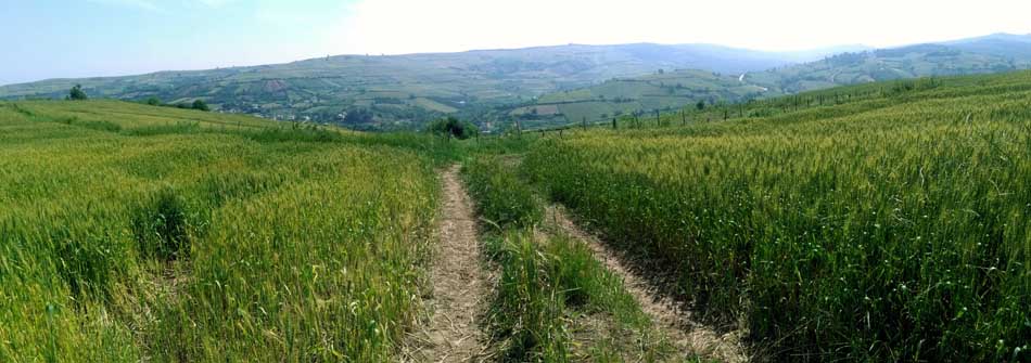 IMG_20160513_100605.jpg (950×335)