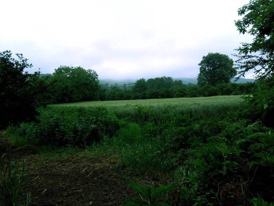 IMG_20160506_081754.jpg (950×713)