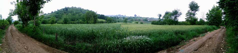 IMG_20160506_083703.jpg (950×213)