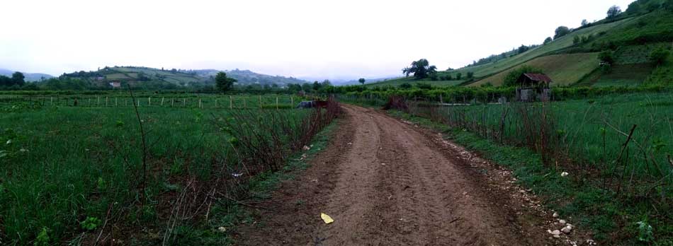 IMG_20160506_084249.jpg (950×348)