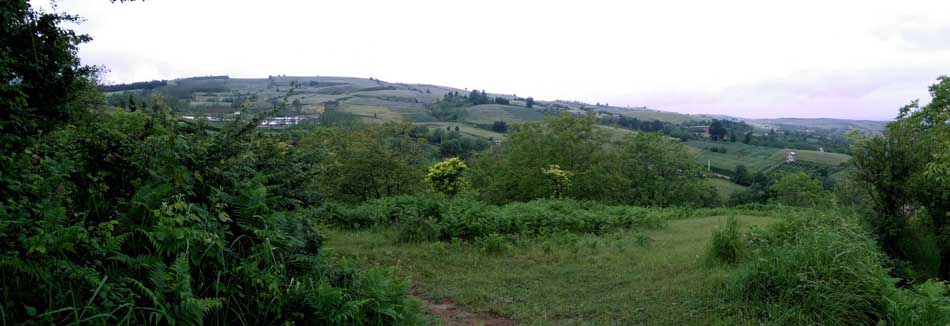 IMG_20160506_092711.jpg (950×326)