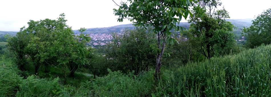 IMG_20160506_092739.jpg (950×342)